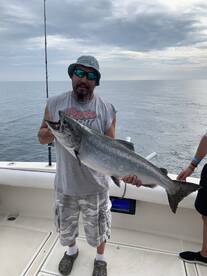 Big kings are starting to stage for thei