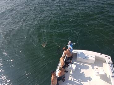 Nags Head Report Photo 2