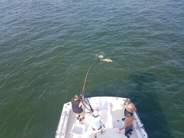 Nags Head Report Photo 1