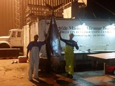 Atlantic Beach Report Photo 1