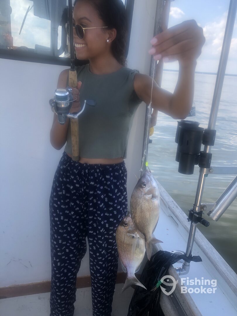 New Rochelle Report Photo 0