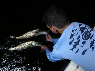 Miami Report Photo 2