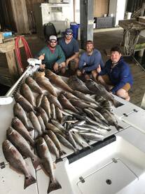 Venice Verslag Foto 1