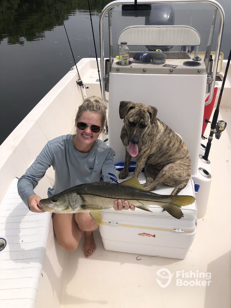 Sarasota Report Photo 0