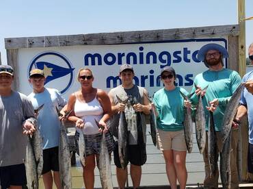 Jacksonville Report Photo 1