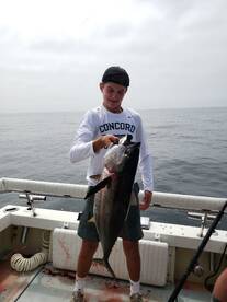 San Diego Report Photo 2