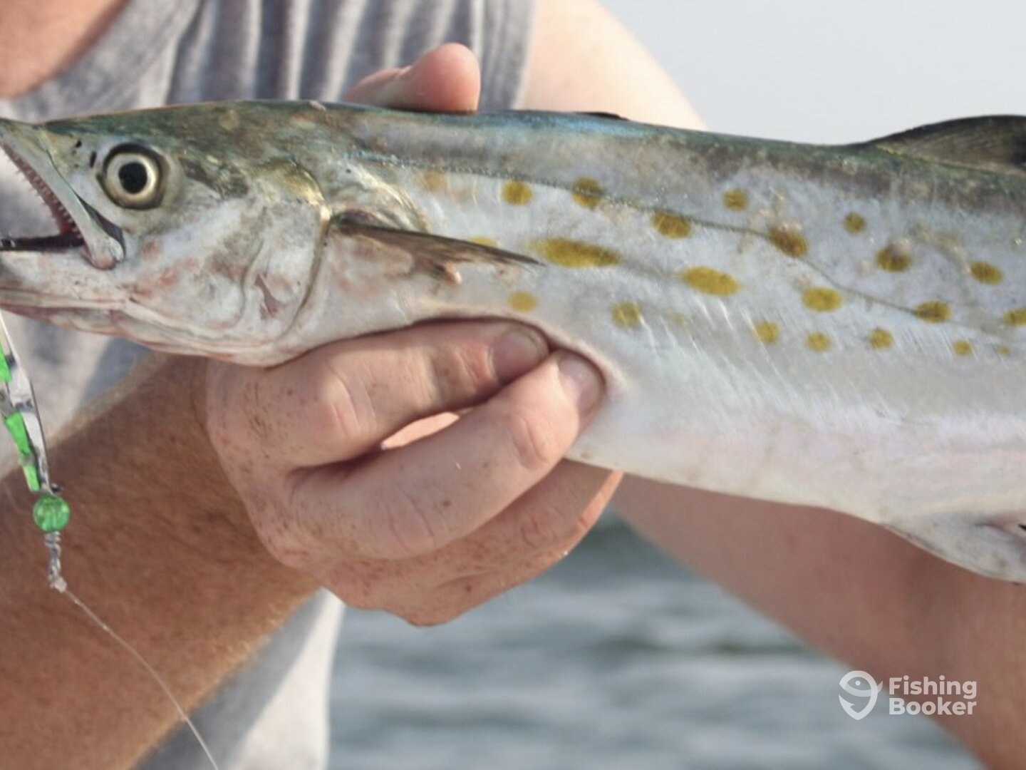 Redington Shores Report Photo 0