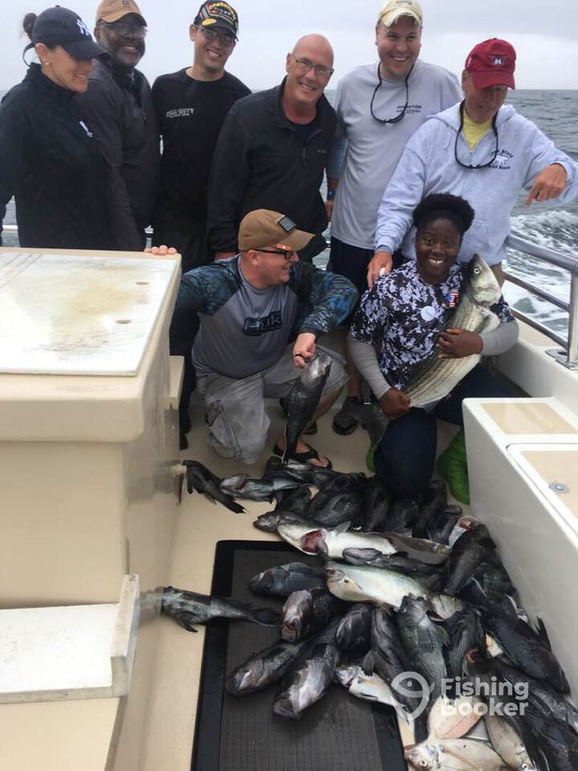 Montauk Report Photo 0