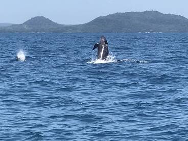 Paquera Report Photo 2