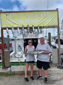 Dania Beach Report Photo 1