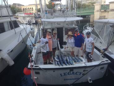 Half Day Private charter