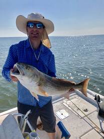 Ocean Springs Report Photo 1