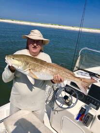 Ocean Springs Report Photo 2