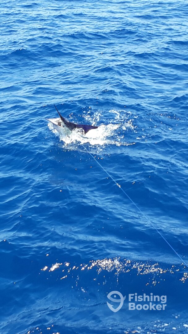 Cabo San Lucas Report Photo 0