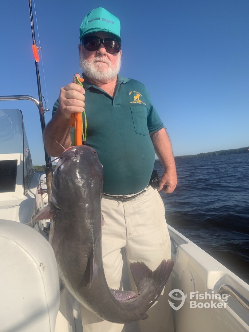 Tyner Report Photo 0