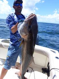 Gulf Shores Report Photo 1