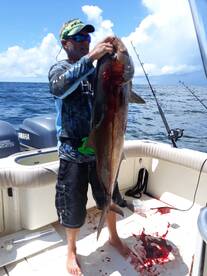 Amberjack bite is on fire