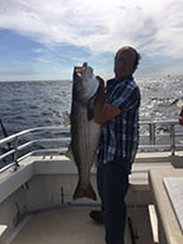 Montauk Report Photo 1