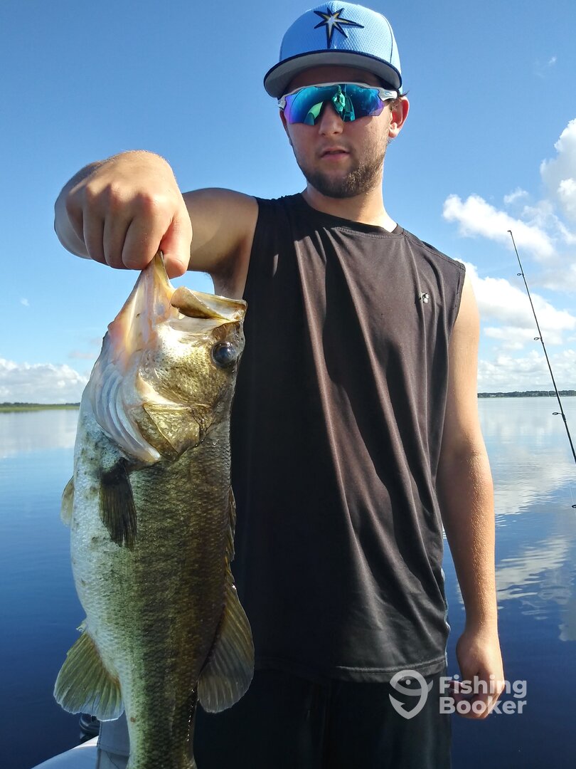 Tarpon Springs Report Photo 0