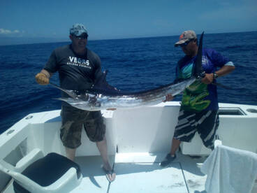 Cabo San Lucas Report Photo 2