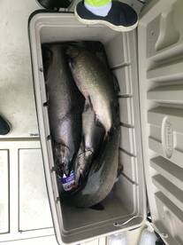 Mexico Report Photo 2