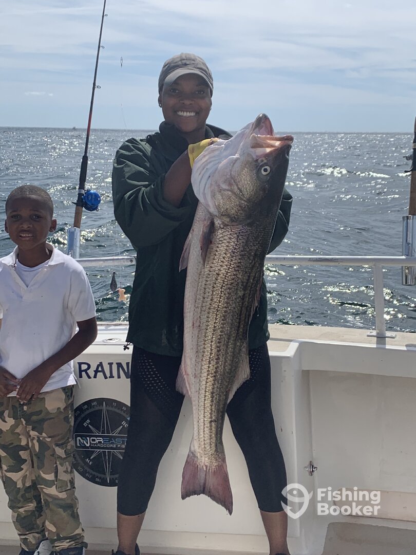 Montauk Report Photo 0