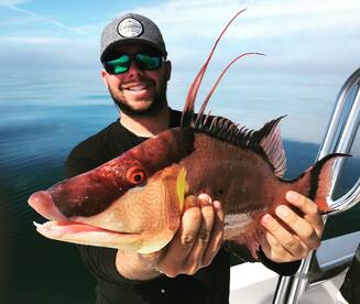 Sarasota Report Photo 1