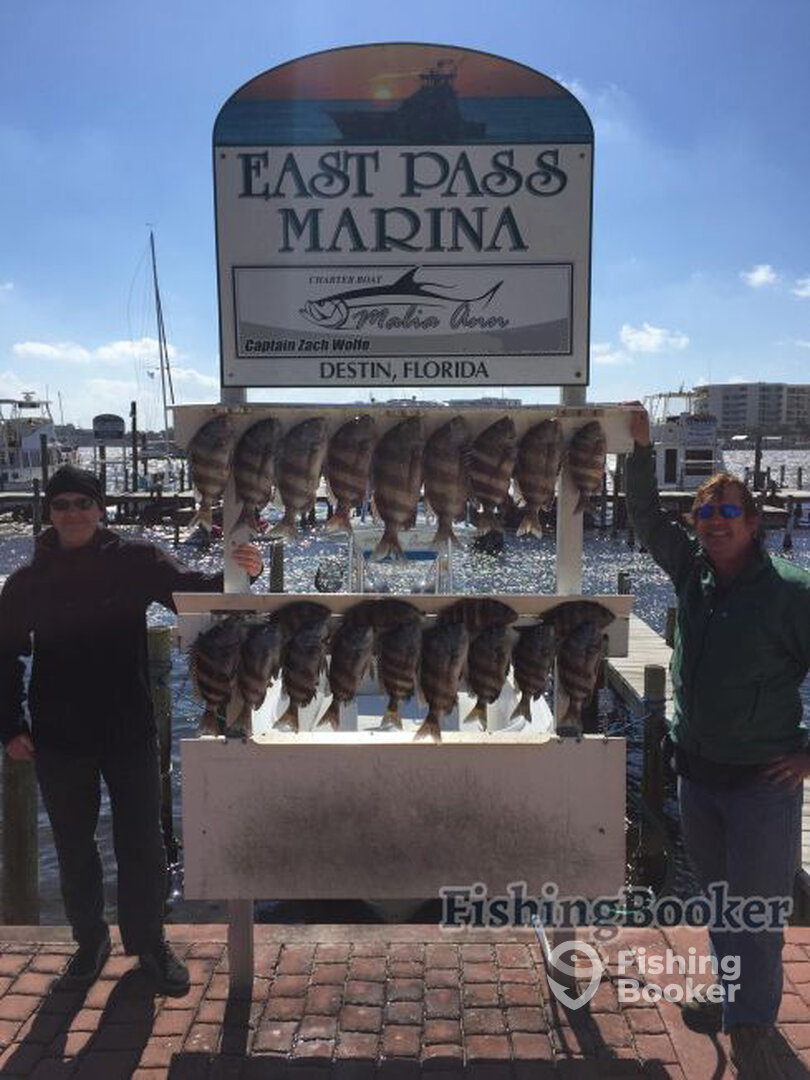 Destin Report Photo 0