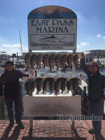 Sheepshead bite is on!