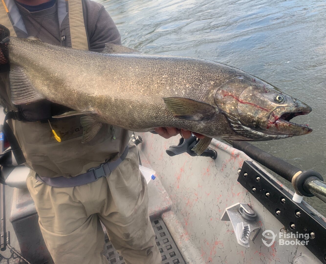 Oswego Report Photo 0