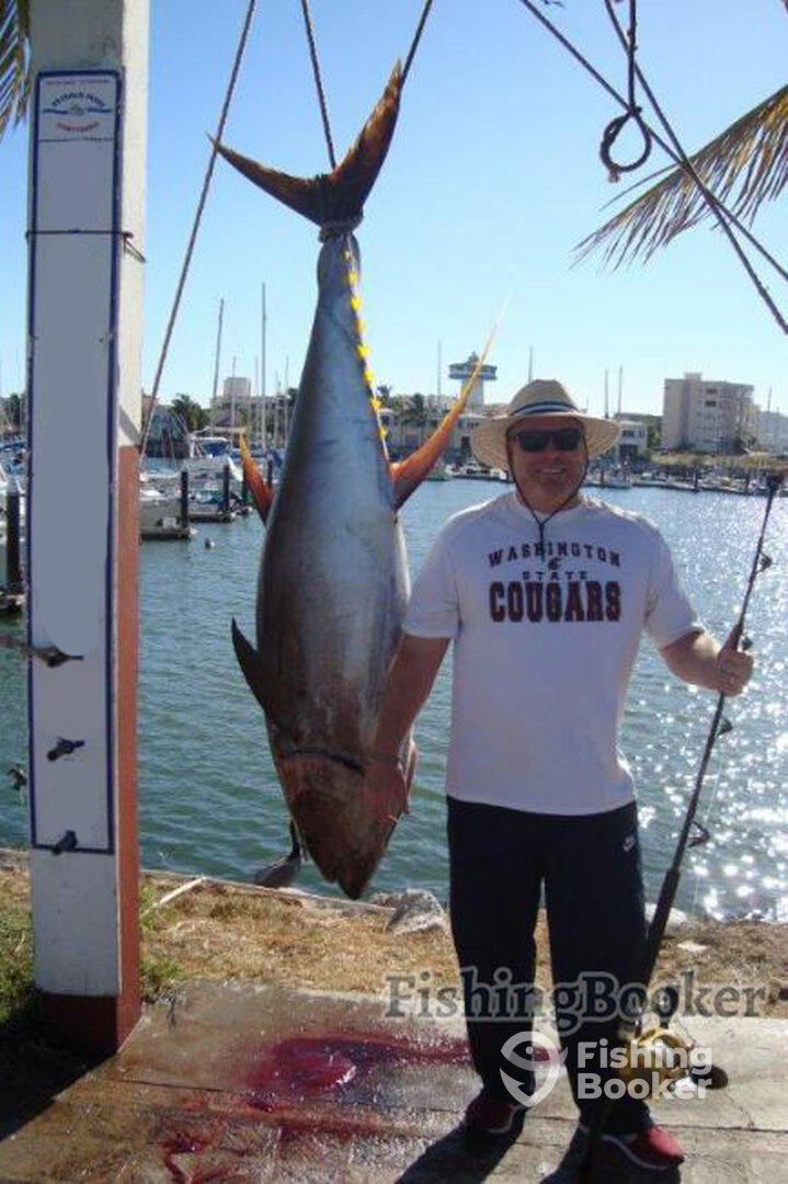 Mazatlán Report Photo 0