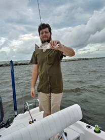 St. Bernard Report Photo 1