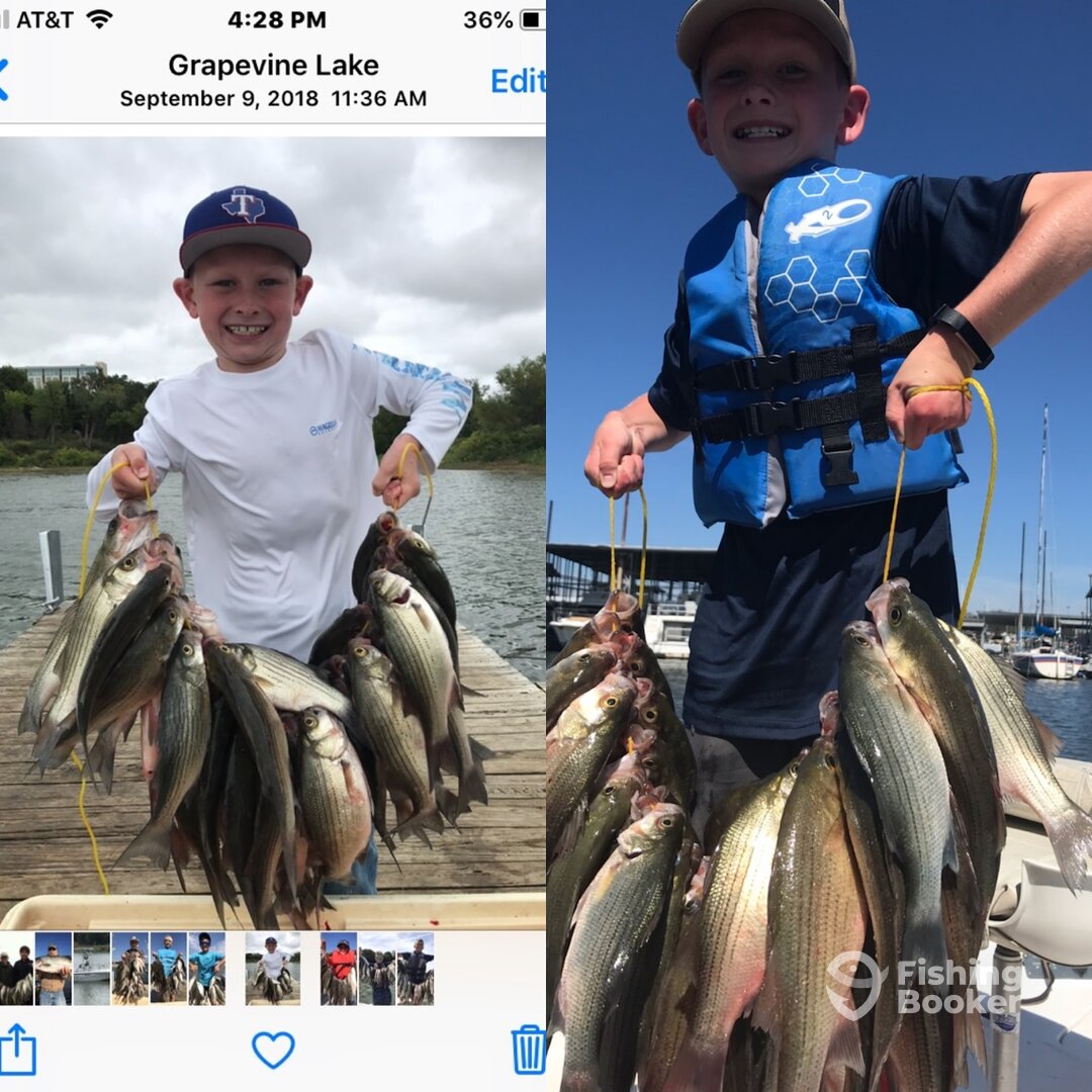 Grapevine Report Photo 0