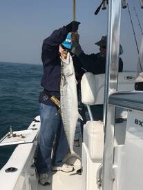 Naples Report Photo 1