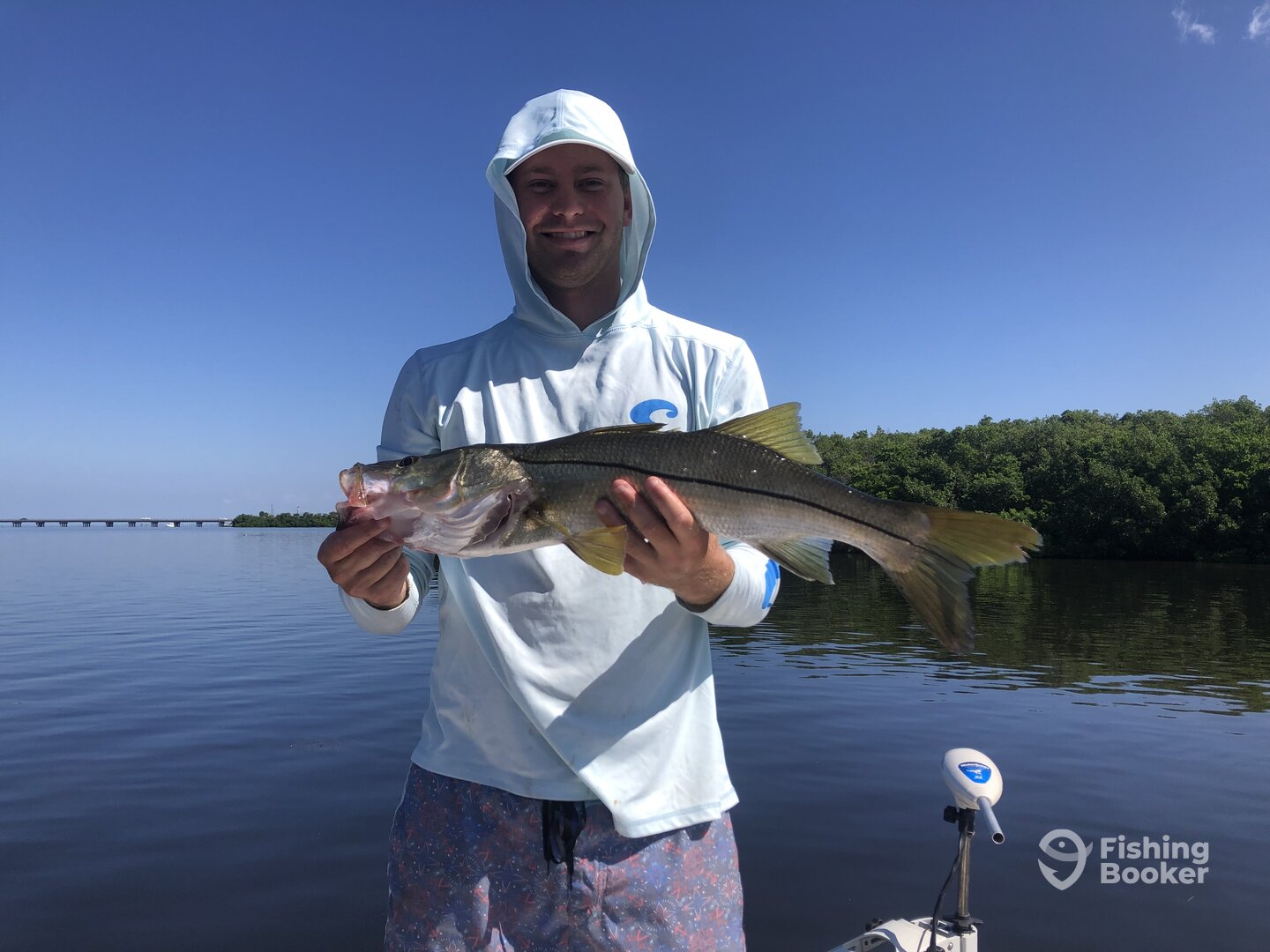 Sarasota Report Photo 0