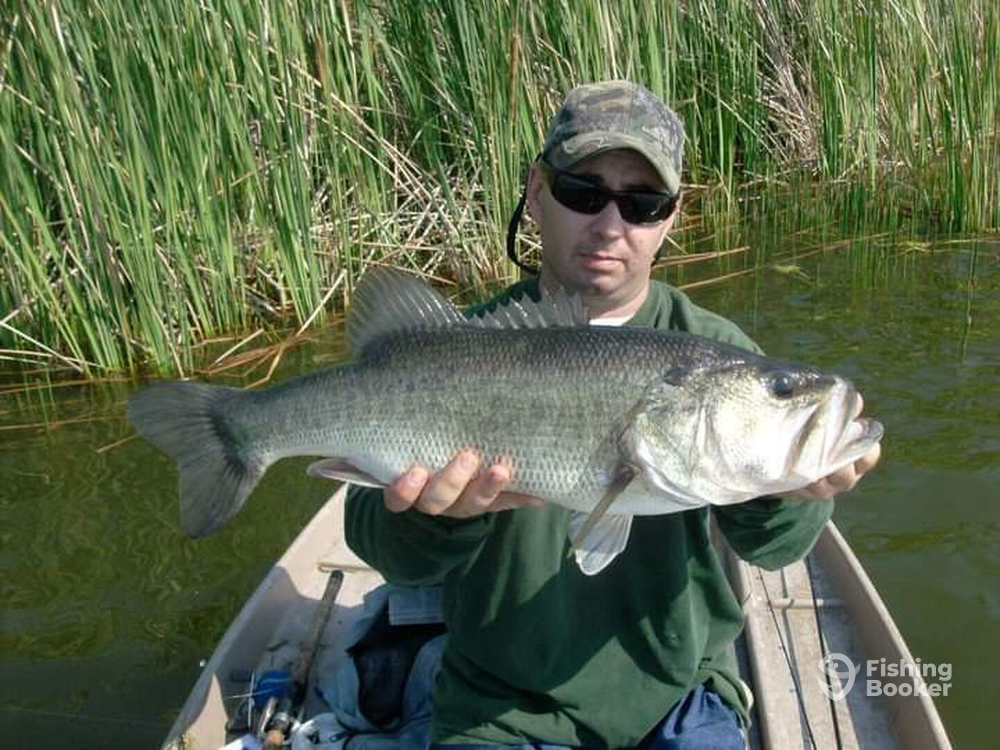 Kissimmee Report Photo 0