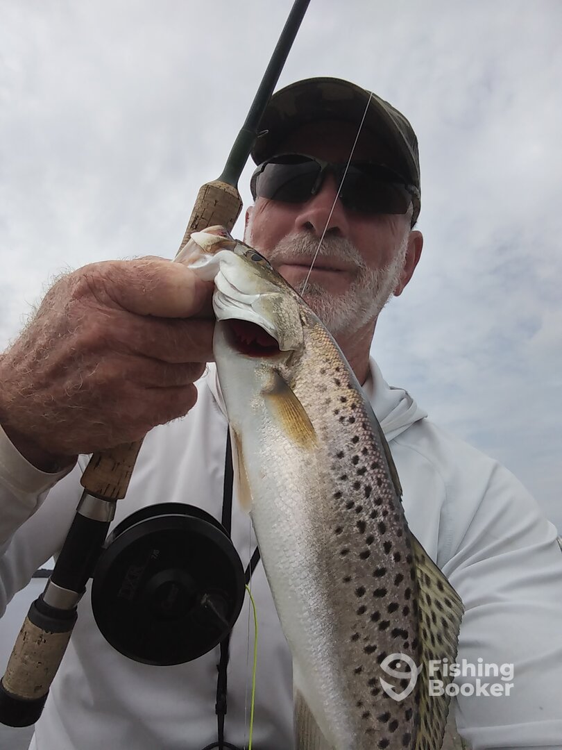 Chincoteague Report Photo 0