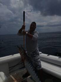 Big wahoo round
