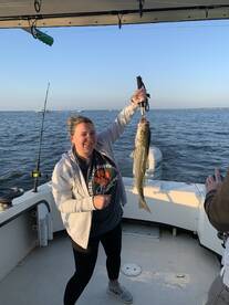 Stevensville Report Photo 1