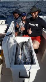 Fort Lauderdale Report Photo 1