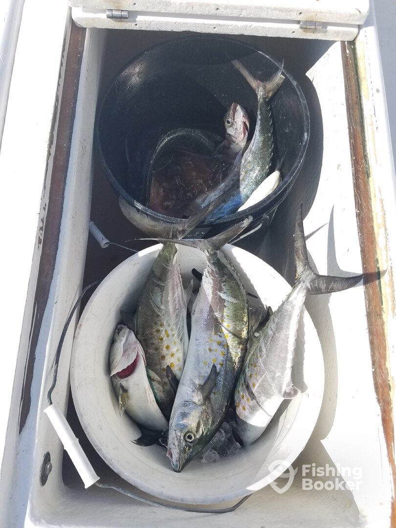 Nags Head Report Photo 0