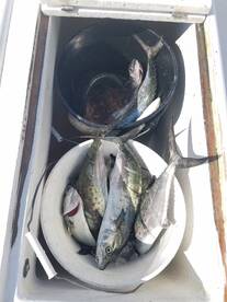 Oceans calm  with good fishing