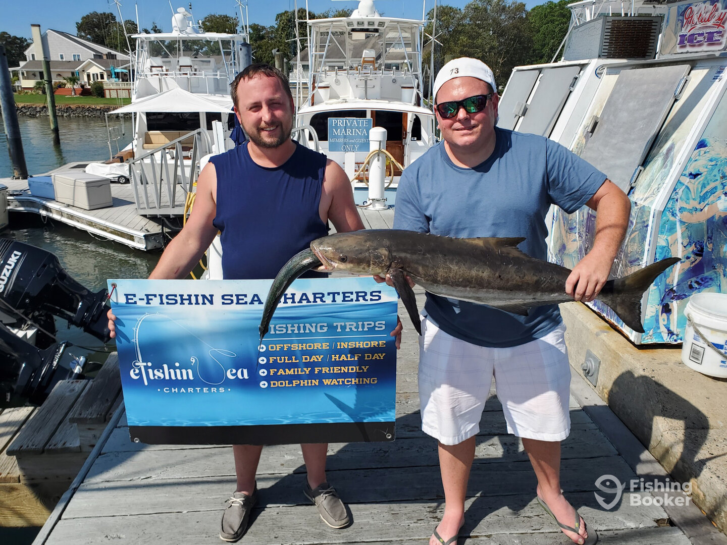 Virginia Beach Report Photo 0