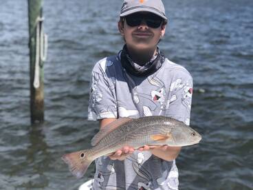 Sarasota Report Photo 1