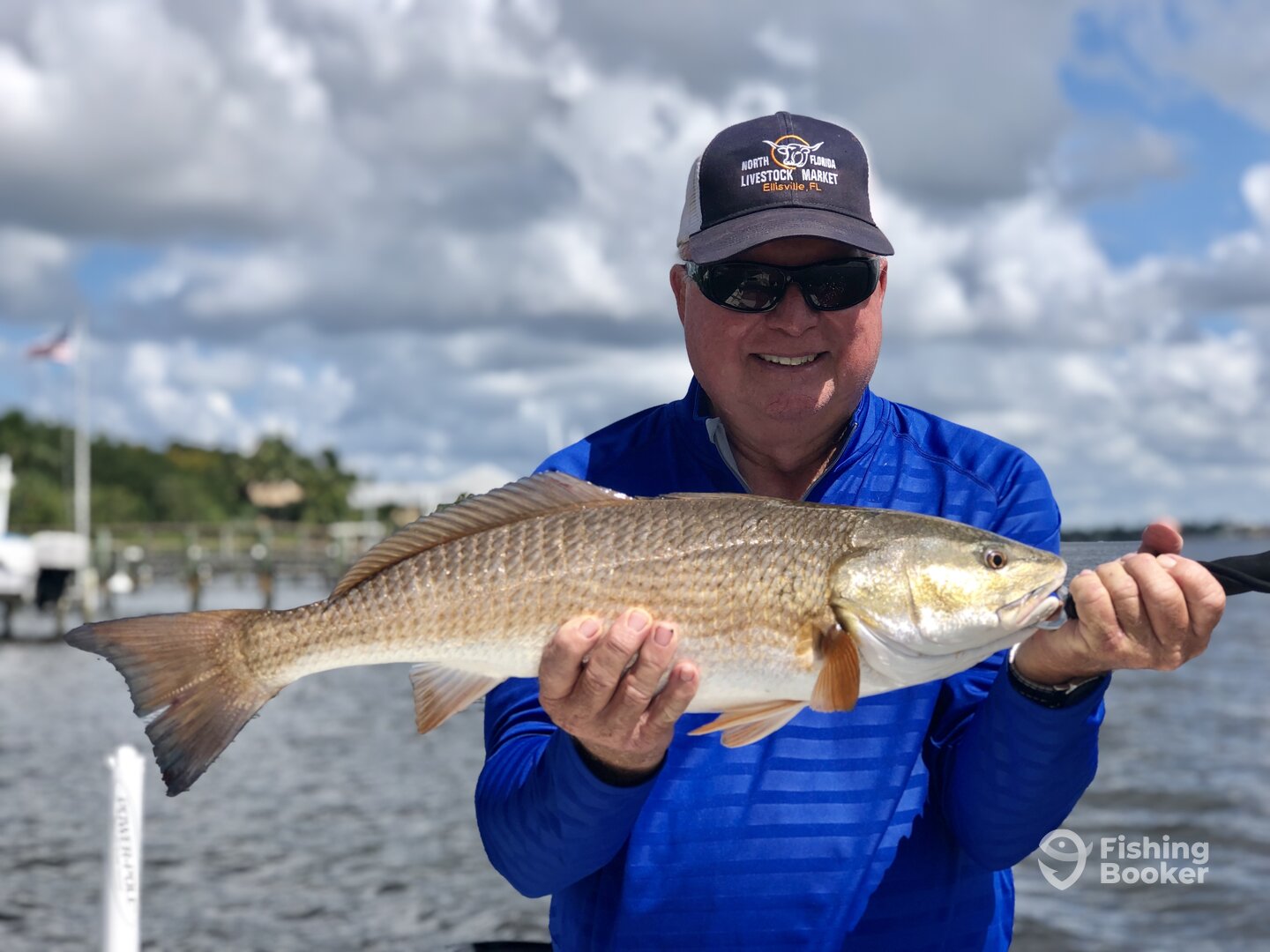 Venice Report Photo 0