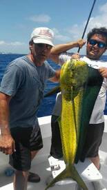 Mahi Mahi
