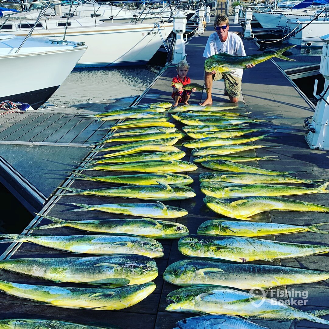 Haleiwa Report Photo 0