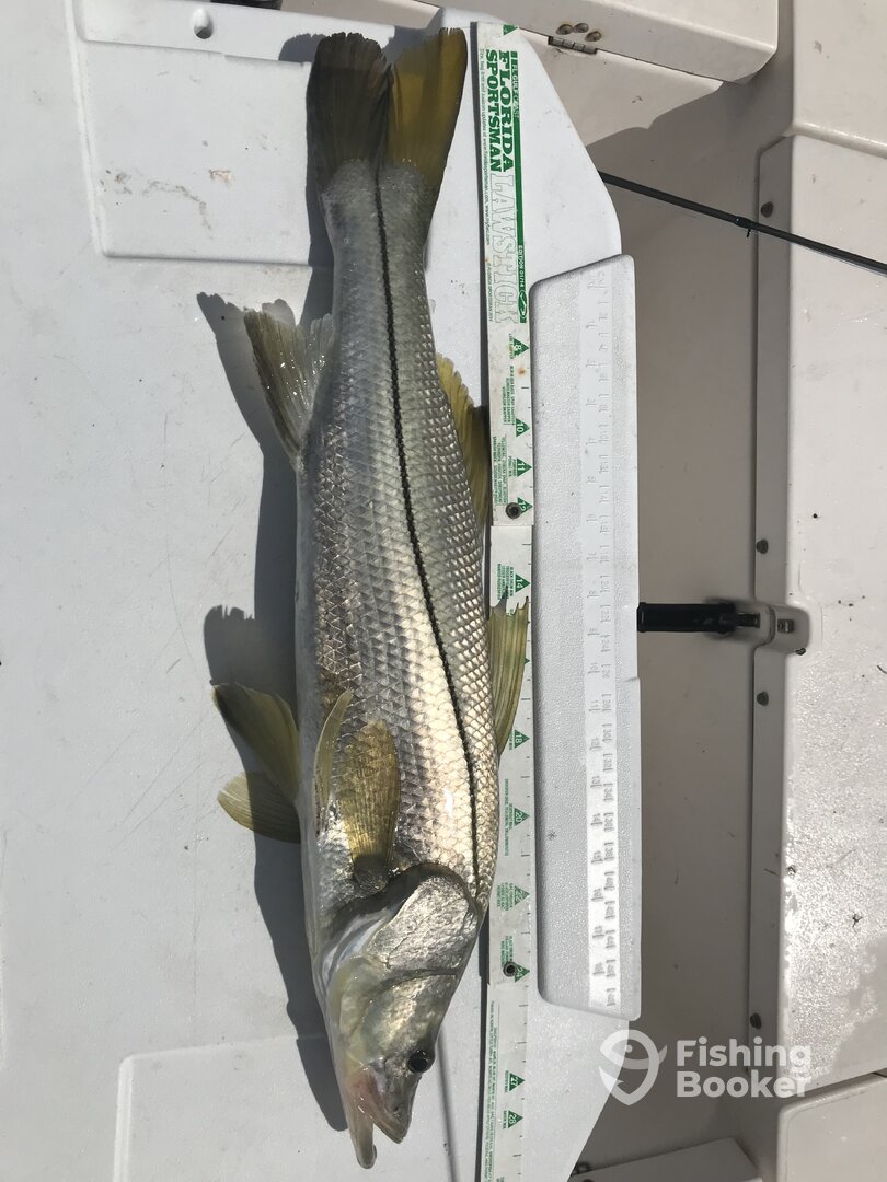 Chokoloskee Report Photo 0