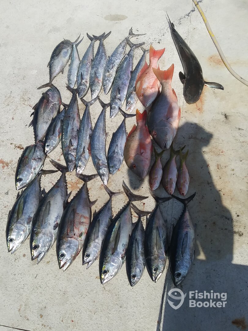 Key West Report Photo 0