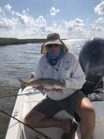 Port St. Joe Report Photo 1